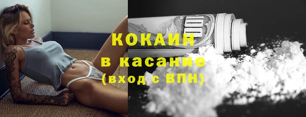 хмурый Абаза
