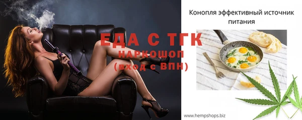 хмурый Абаза