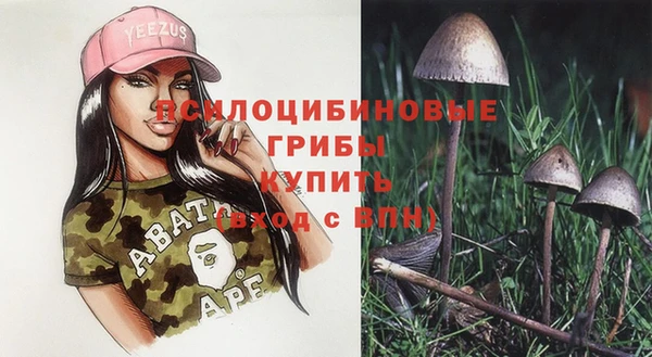 a pvp Абдулино