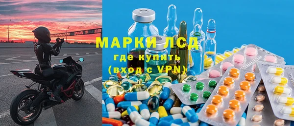 хмурый Абаза