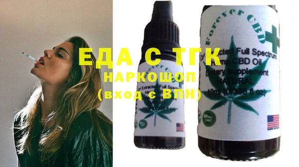 хмурый Абаза