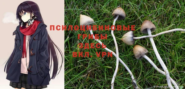 a pvp Абдулино