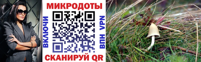 Галлюциногенные грибы прущие грибы  Подольск 